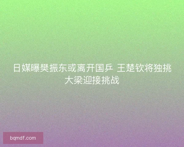 日媒曝樊振东或离开国乒 王楚钦将独挑大梁迎接挑战