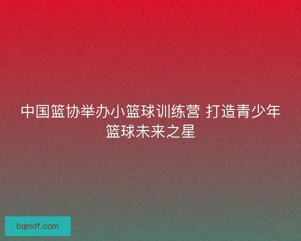 中国篮协举办小篮球训练营 打造青少年篮球未来之星 中国篮协举办小篮球训练营 打造青少年篮球未来之星